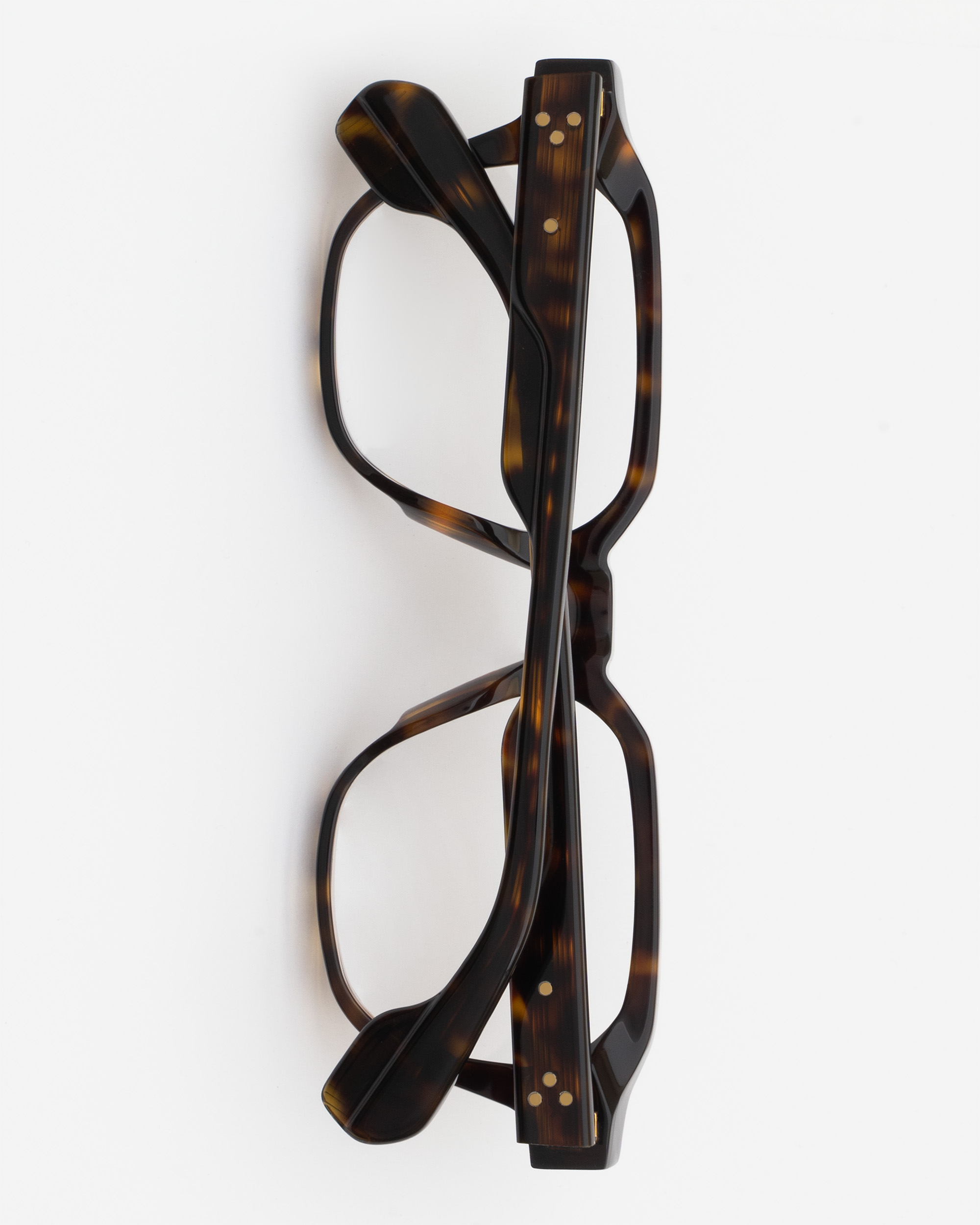 FRAME 30 - TORTOISE