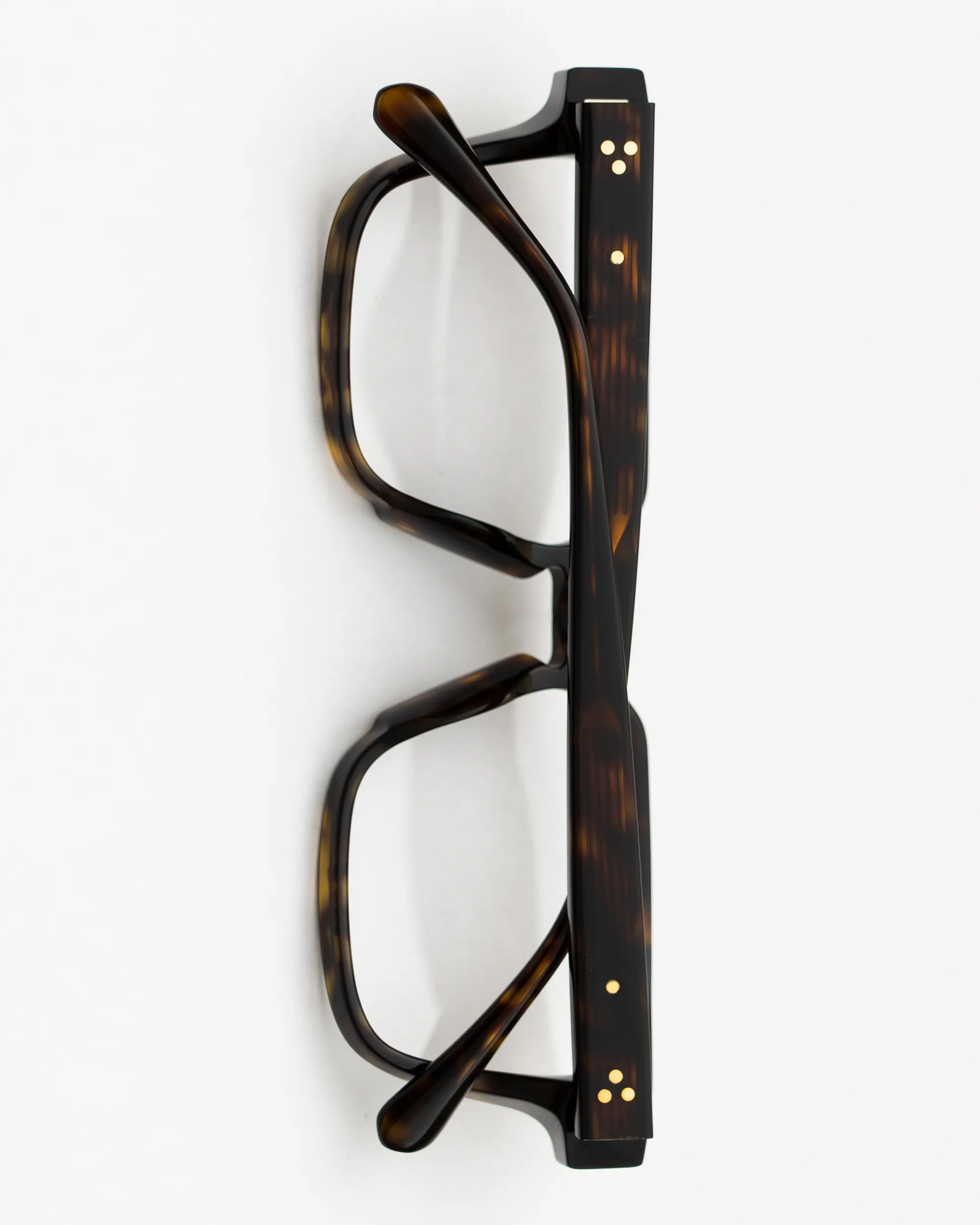 FRAME 22 - TORTOISE