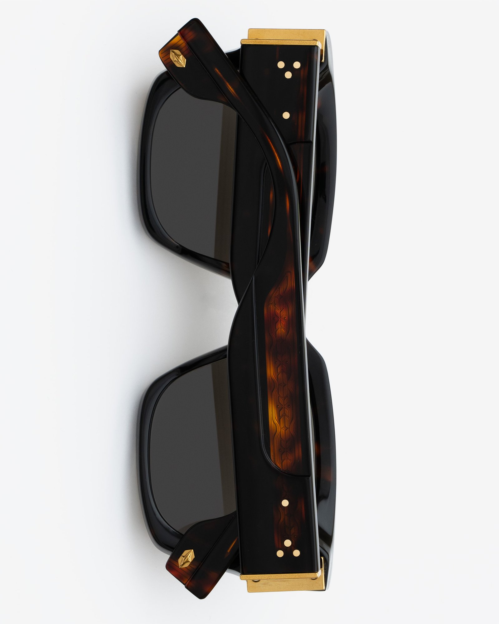 THE REASON - TORTOISE